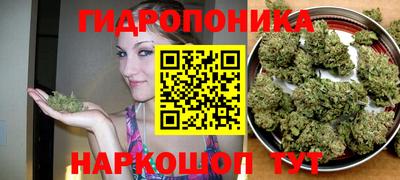 стафф Рязань