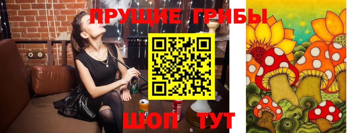 Псилоцибиновые грибы мухоморы  Вход с VPN  Псилоцибиновые грибы Psilocybe  что такое   Острогожск 