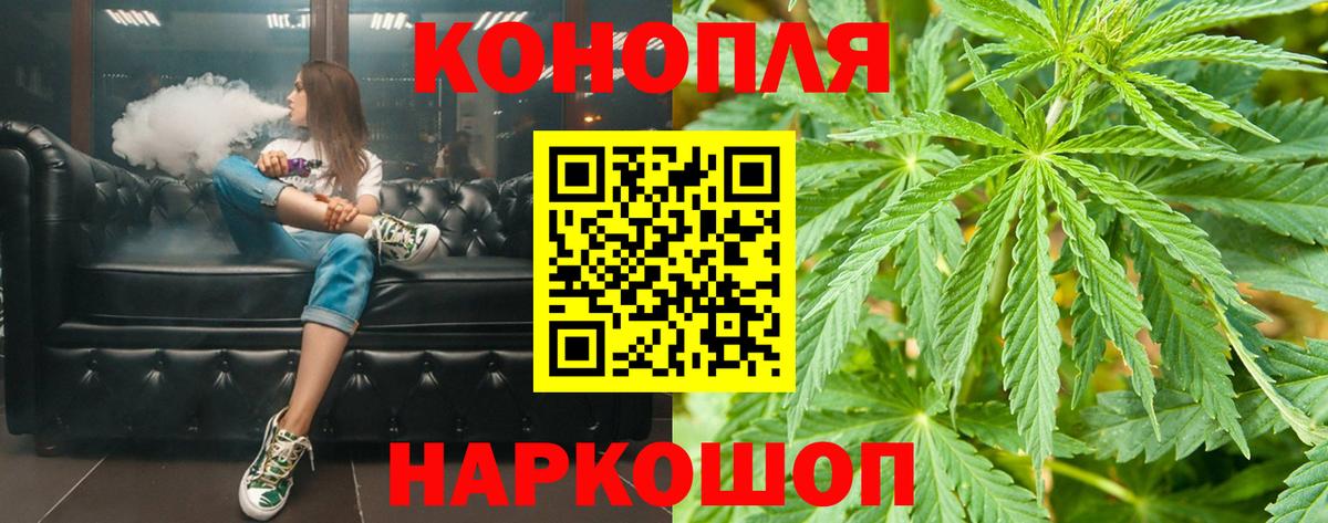 Бошки марихуана планчик Острогожск